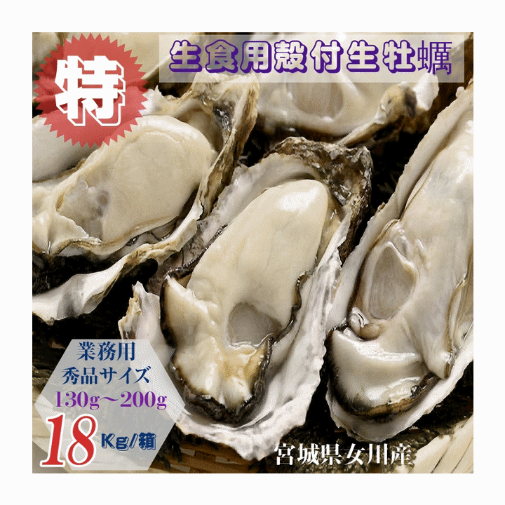 牡蠣 特別価格提供 生食用 業務用 宮城県女川雄勝産 殻付き生牡蠣 秀品サイズ 18kg /箱 産地直送 送料無料 オススメ