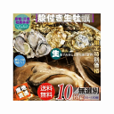 牡蠣 宮城県三陸・牡鹿半島産 殻付き生牡蠣 無選別 10kg /箱 業務用 産地直送 送料無料