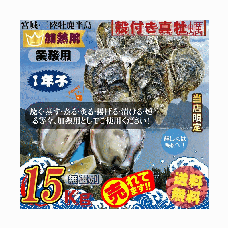 宮城県三陸・牡鹿半島産 加熱用 業務用 殻付き生牡蠣:一年子 15kg /箱 産地直送 送料無料