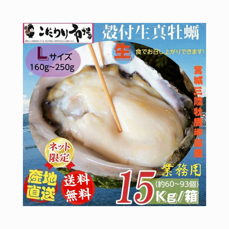 牡蠣 宮城県三陸・牡鹿半島産 殻付き生牡蠣 業務用 Lサイズ 15kg /箱 産地直送 送料無料
