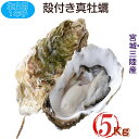 宮城県三陸・牡鹿半島産 生食用 殻付き生牡蠣 一年子 5kg /箱 温湯処理 産地直送 送料無料