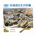 牡蠣 三陸産雄鹿半島 生食可能 殻付き冷凍牡蠣 3kg /箱 A品 送料無料