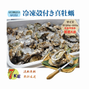 牡蠣 三陸産雄鹿半島 生食可能 殻付き冷凍牡蠣 7kg /箱 A品 送料無料