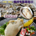 牡蠣 宮城県三陸牡鹿半島産 温湯処理 殻付き生牡蠣 9kg /箱 無選別 産地直送 送料無料