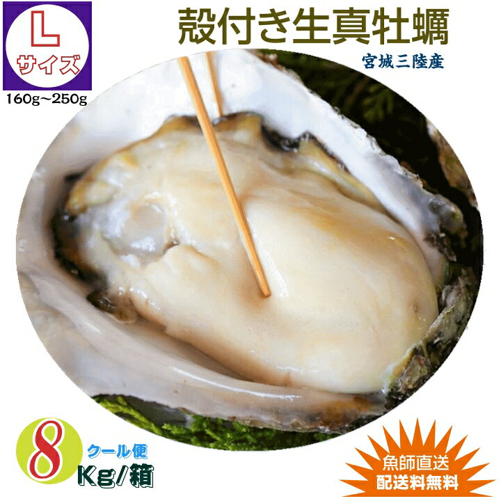 Rakuten - 牡蠣 宮城県三陸・牡鹿半島産 殻付き生牡蠣 Lサイズ 8kg /箱 産地直送 送料無料
