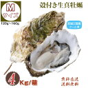 牡蠣 宮城県三陸・牡鹿半島産 殻付き生牡蠣 Mサイズ 4kg /箱 産地直送 送料無料