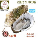 牡蠣 宮城県三陸・牡鹿半島産 殻付き生牡蠣 Mサイズ 8kg /箱 産地直送 送料無料