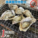 宮城県産 生食用 殻付き 牡蠣 1kg 7~13個 カキ かき 貝 冷凍 無選別 検査済み