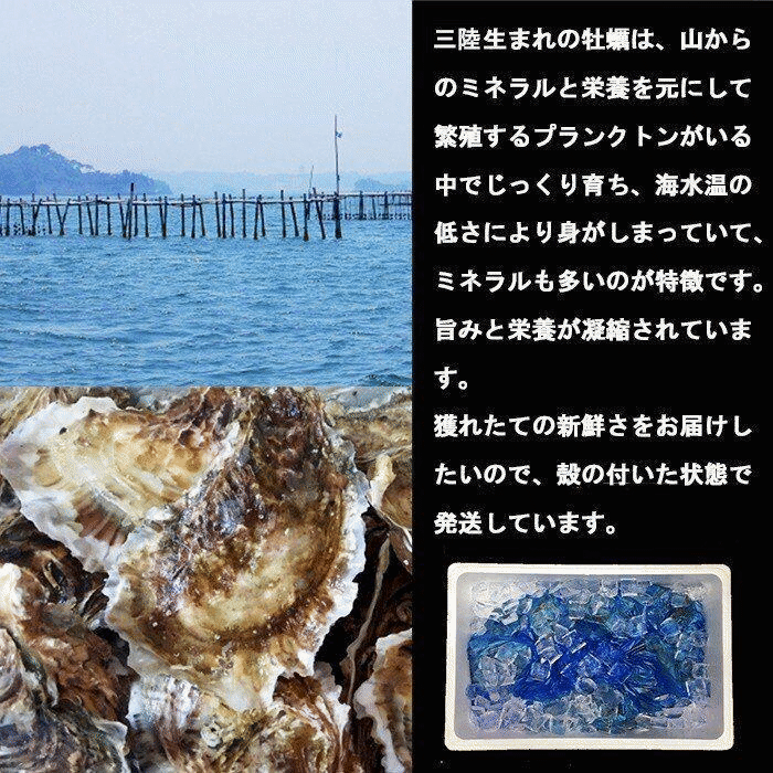牡蠣 宮城県三陸・牡鹿半島産 殻付き生牡蠣 無選別 10kg /箱 産地直送 送料無料