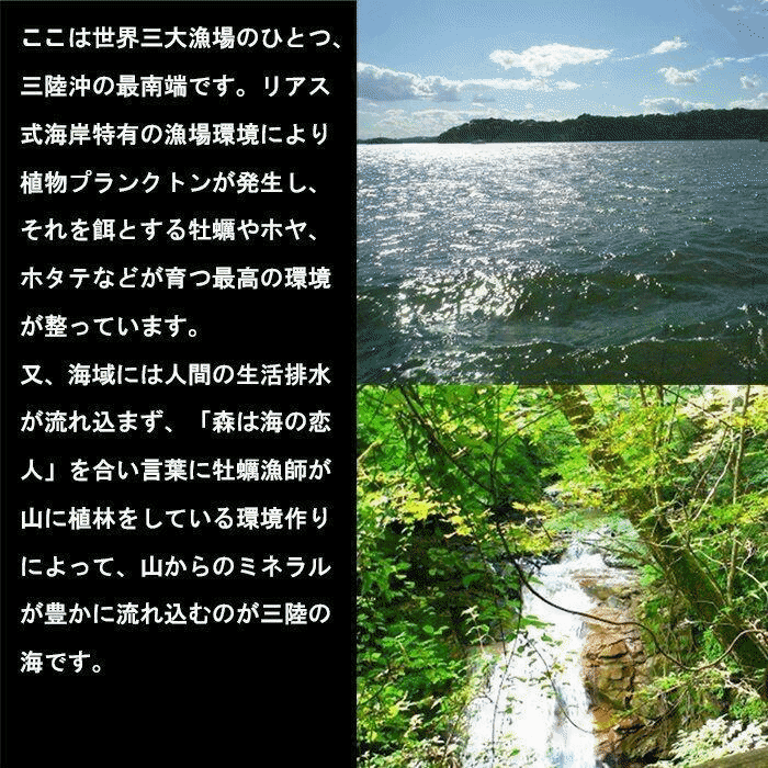 牡蠣 宮城県三陸・牡鹿半島産 殻付き生牡蠣 無選別 10kg /箱 産地直送 送料無料