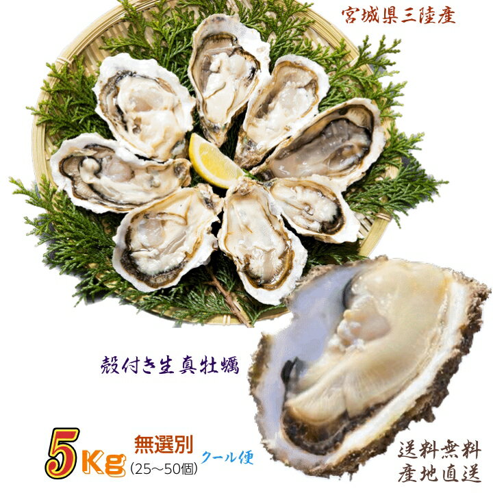 牡蠣 宮城県 三陸・牡鹿半島産 殻付き生牡蠣 無選別 5kg /箱 産地直送 送料無料