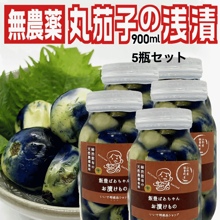 漬物 伝統野菜 柿渋無農薬 薄皮丸茄子 瓶詰め浅漬け 900ml×5瓶 山形県飯豊町産 内容量3000g 送料無料