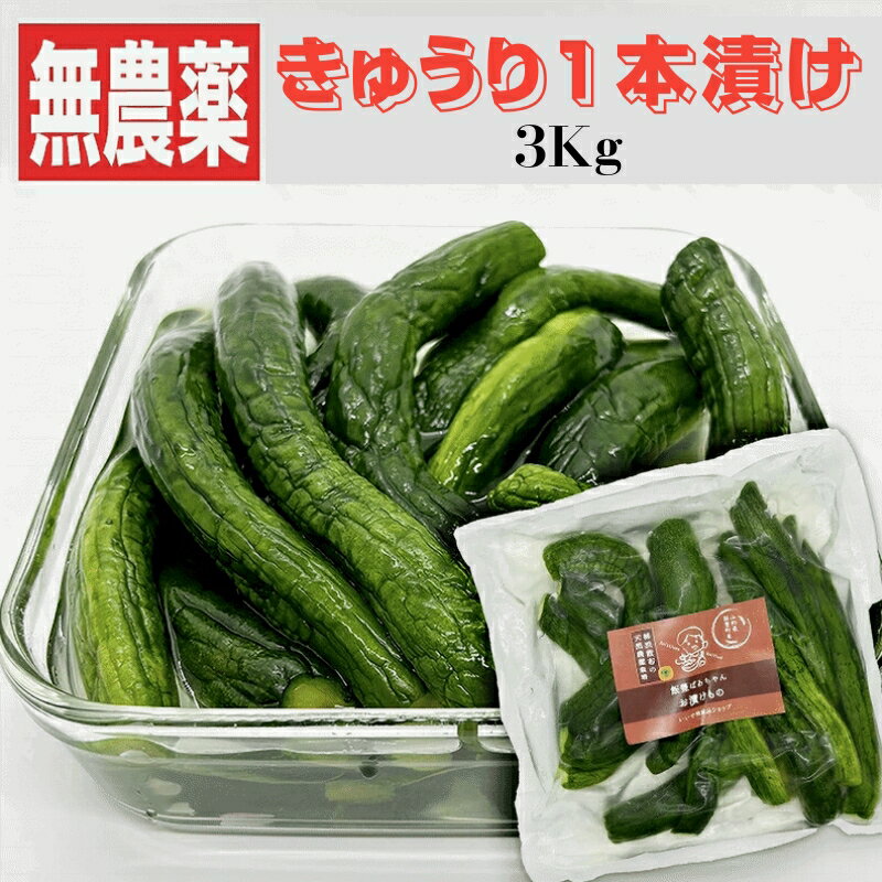 漬物 伝統野菜 柿渋無農薬 きゅうり1本漬け 3Kg 山形県飯豊町産 送料無料