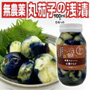 漬物 山形県飯豊町産 置賜名物薄皮丸茄子の浅漬け:900ml /瓶×5セット 産地直送 送料無料
