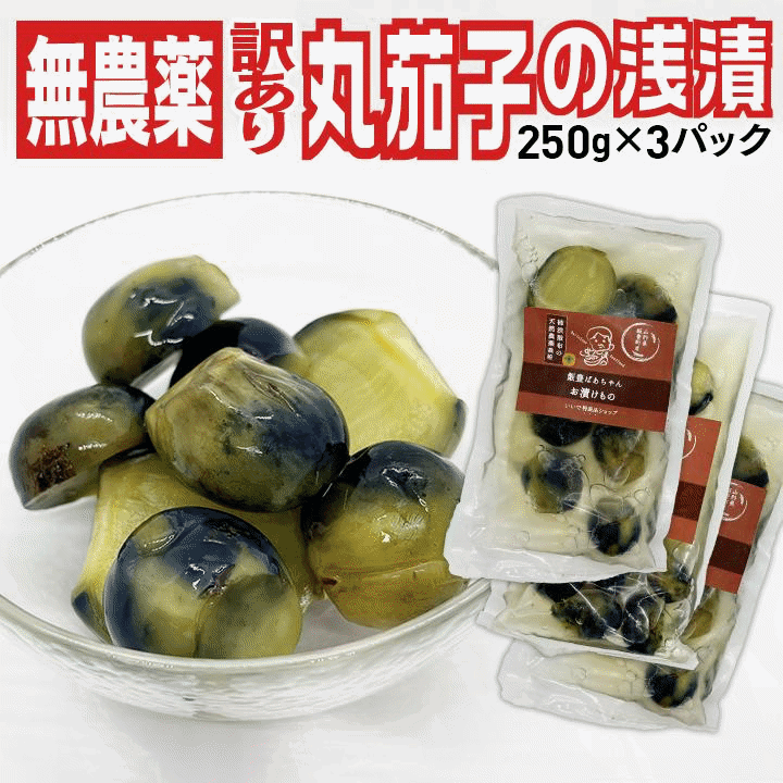 漬物 訳あり 伝統野菜 柿渋無農薬 薄皮丸茄子 パック詰め浅漬け 250g×3袋セット 山...
