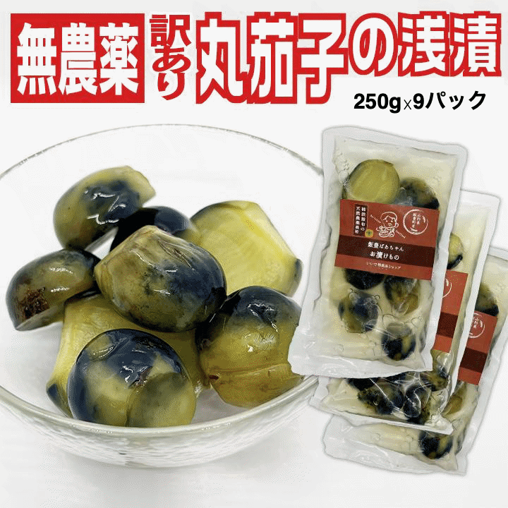 漬物 訳あり 伝統野菜 柿渋無農薬 薄皮丸茄子 パック詰め浅漬け 250g×9袋セット 山...