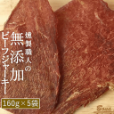 加工品 燻製職人の無添加ビーフジャーキー 160g×5袋 送料無料 メール便