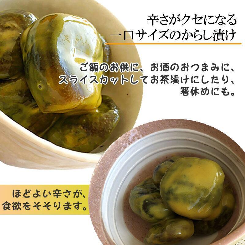 山形の漬物 山形県産 からし茄子 150g×10袋