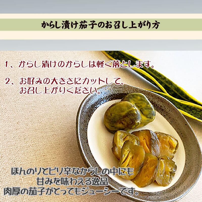 山形の漬物 山形県産 からし茄子 150g×10袋