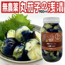漬物 山形県飯豊町産 置賜名物薄皮丸茄子の浅漬け:900ml /瓶 産地直送 送料無料