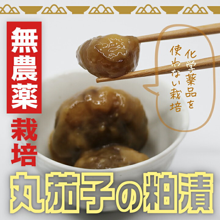 漬物 薄皮丸茄子の粕漬450ml /瓶×3セット 山形県飯豊町産 産地直送 送料無料