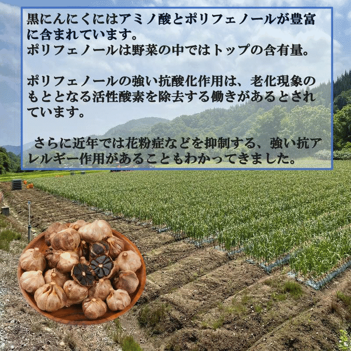 北海道産 黒千石どん(300g)×1個