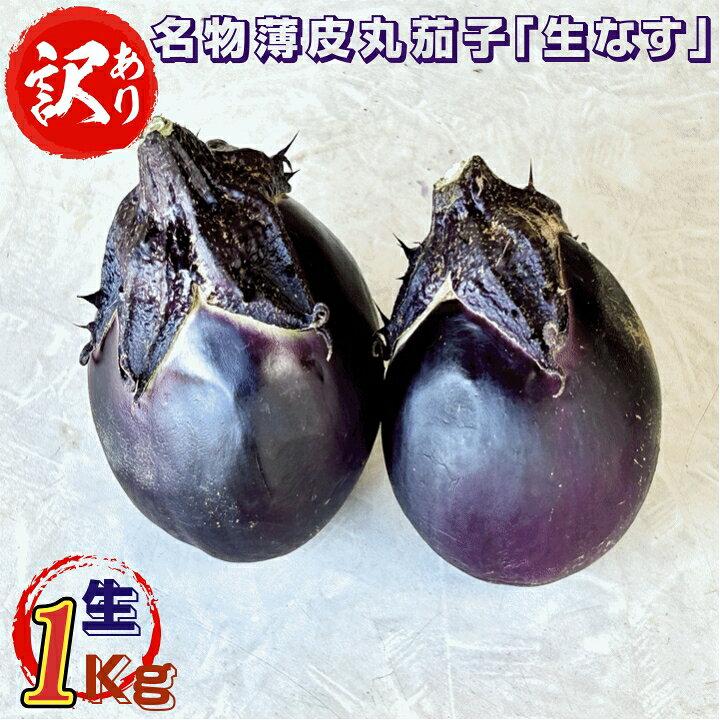 野菜 訳あり 山形県飯豊町産 名物薄皮丸茄子 生 1Kg /袋 産地直送 送料無料