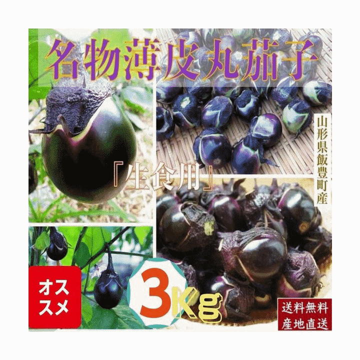 大評判 野菜 ナス 早期予約 山形県飯豊町産 名物薄皮丸茄子 生 3Kg /袋 産地直送 ...