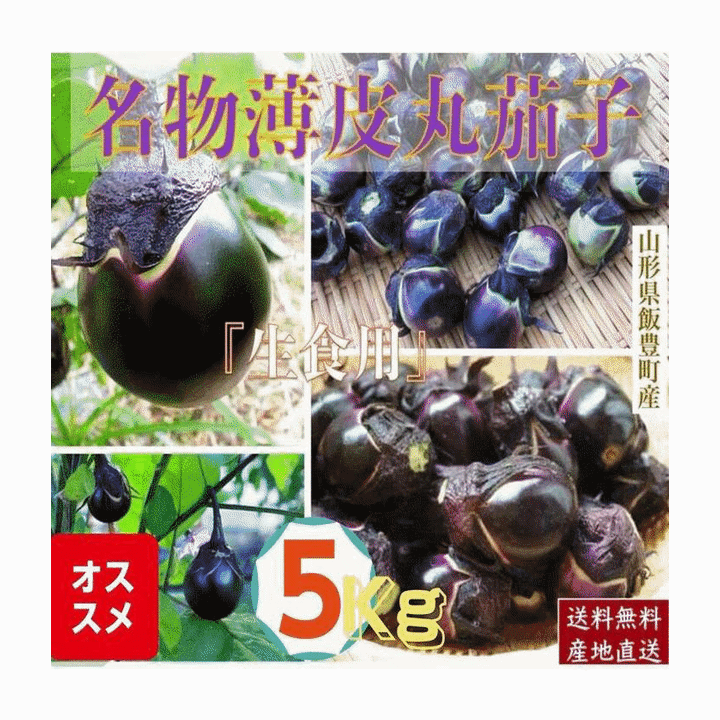 乐天商城 - 大評判 野菜 ナス 早期予約 山形県飯豊町産 名物薄皮丸茄子 生 3Kg /袋 産地直送 送料無料