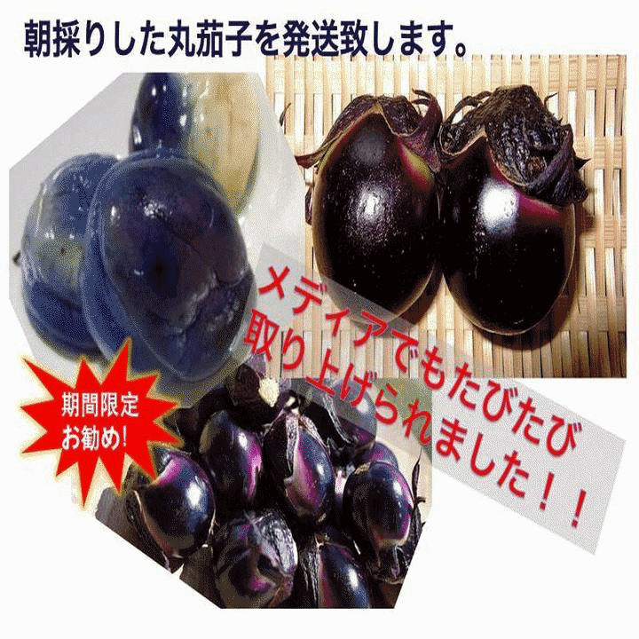 大評判 野菜 ナス 早期予約 山形県飯豊町産 名物薄皮丸茄子 生 1Kg /袋 産地直送 ...