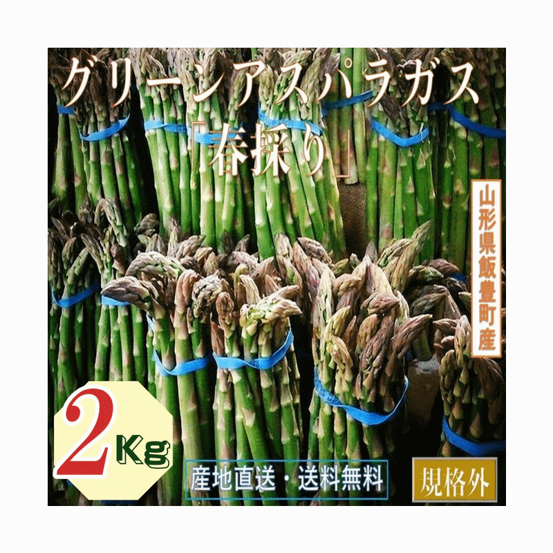 野菜 訳あり 山形県飯豊町産 名物 グリーンアスパラガスご家庭用 生食2Kg /袋 産地直送 送料無料