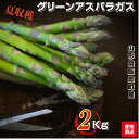 野菜 訳あり 夏収穫 山形県飯豊町産 名物 グリーンアスパラガスご家庭用 生食2Kg /袋 産地直送 送料無料