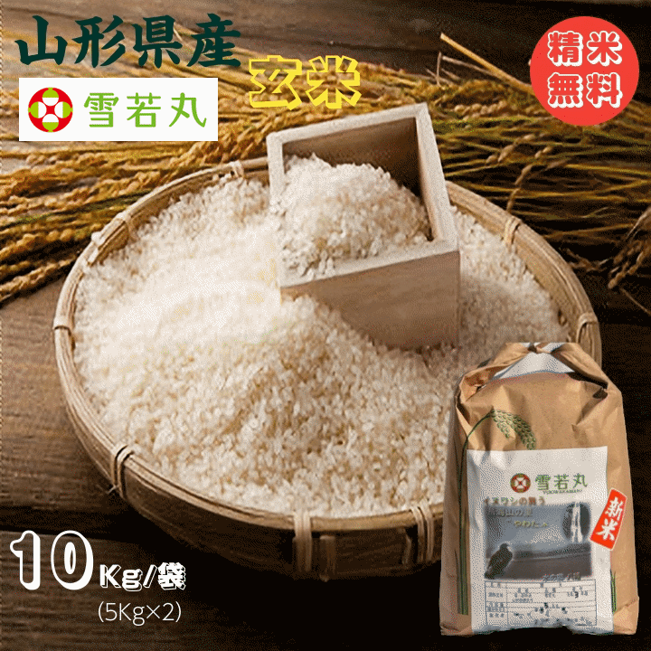 新米早期予約販売 令和7年産 米 お米 10kg 雪若丸 玄米10kg 山形産 白米 精米 送料無料 当日精米