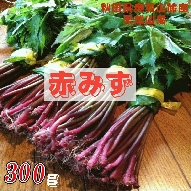 ŷ ͽ ĸŷߤ Хߥ 300g ľ ̵
