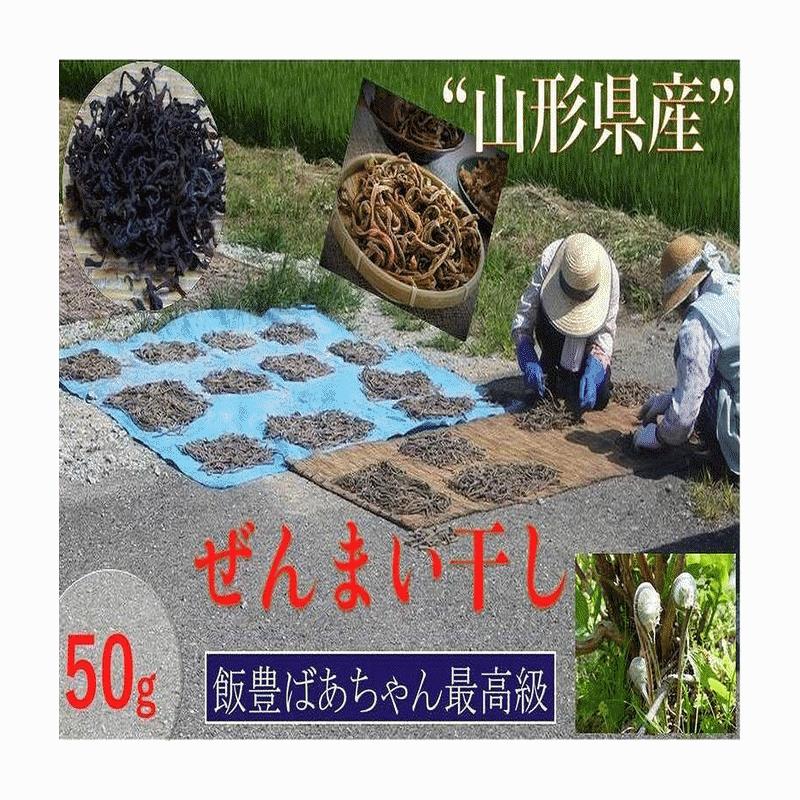 樂天商城 - 山菜 早期予約販売 山形県産ぜんまい干し 50g /袋 産地直送 送料無料