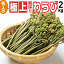 早期予約受付中 天然山菜 天然生わらび極太/2Kg 自然の恵み 限定予約販売 送料無料