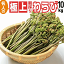 早期予約受付中 天然山菜 天然生わらび極太/10Kg 自然の恵み 限定予約販売 送料無料
