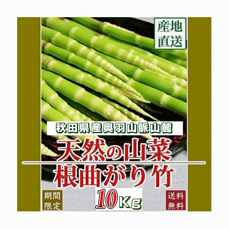 ŷ ŷʤ/10Kgηä ͽ ĸϢ ̵ 