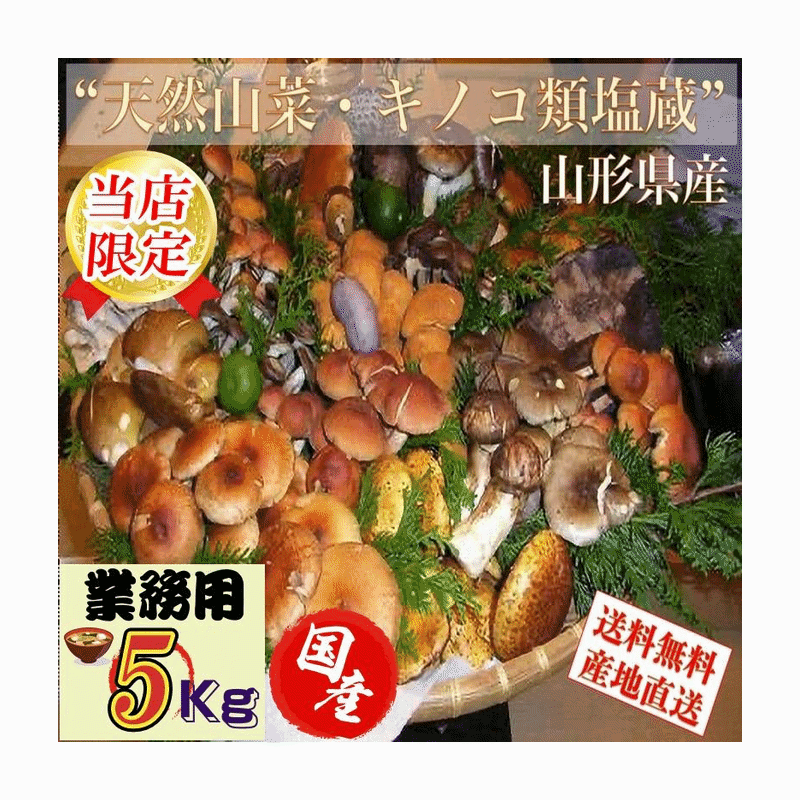 Τ ͽ䡡ŷ ŷΥ Τ ¢5kg ηä ̵