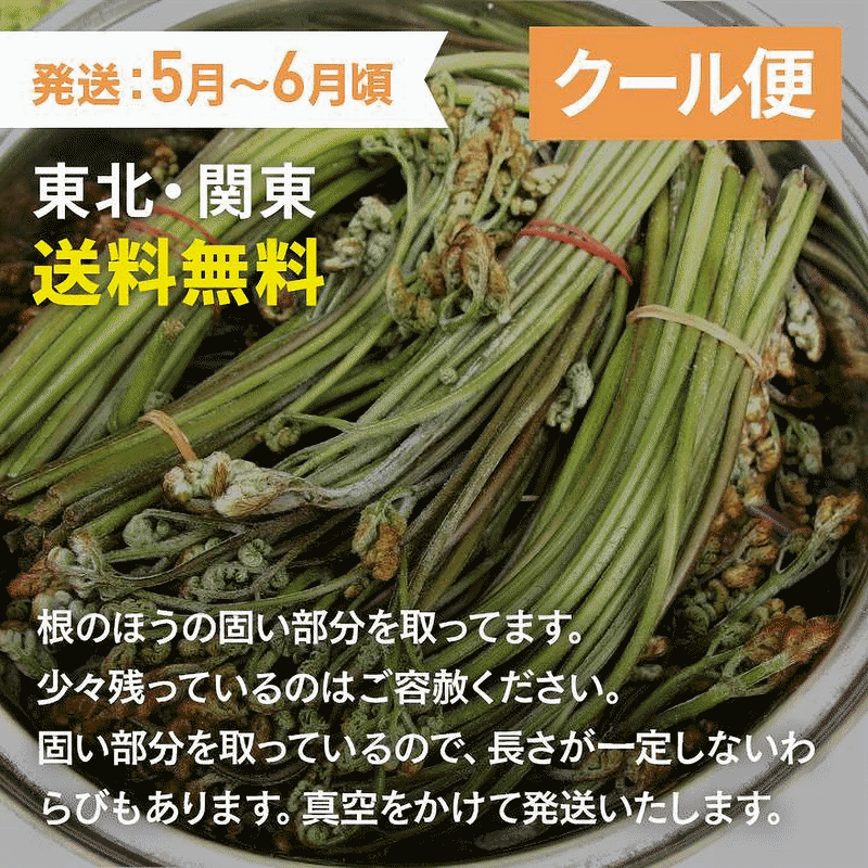 ͽ������ ŷ������ ����ȴ������/3Kg �����ηä� ��������˭Į�� ����̵��