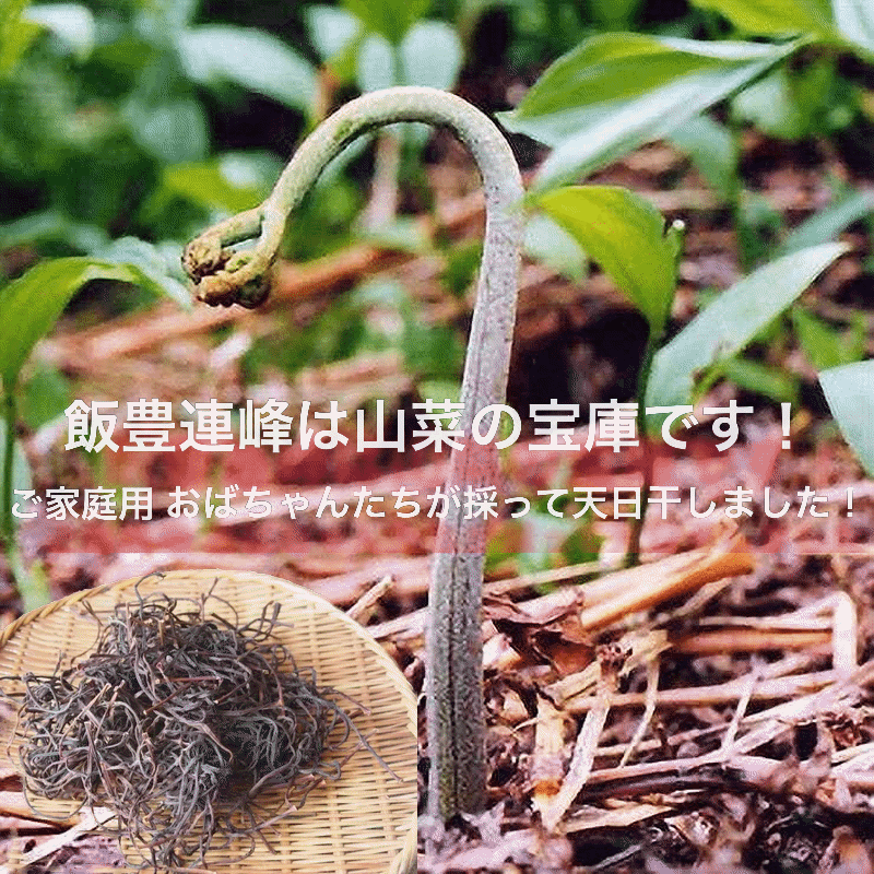 天然山菜 塩蔵干しわらび/1000g 自然の恵み 山形県飯豊町産 送料無料