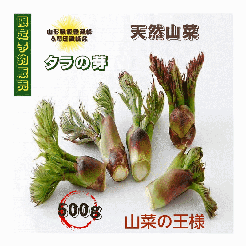ランキングや新製品 楽天市場】タラの芽 1kgの通販 野菜