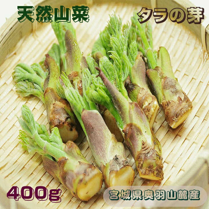 自然薯（やまのいも） 山形県 大石田産 1kg