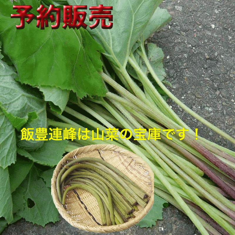 予約販売 天然山菜 山ふきの塩漬け2Kg 自然の恵み 山形県飯豊町産 送料無料 cmty-design-10000759 こだわりフード サンプル画像2