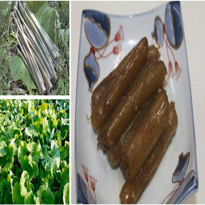 こだわりフードの業務用 天然山菜 山ふきの塩漬け3Kg/箱 自然の恵み　山形県飯豊町産｜アングル2