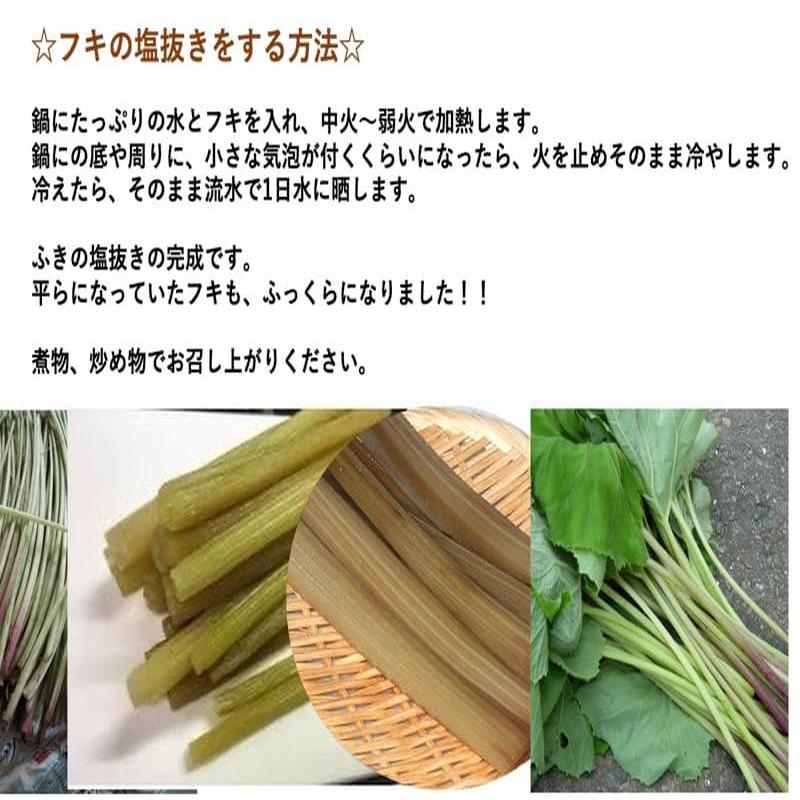 こだわりフードの業務用 天然山菜 山ふきの塩漬け3Kg/箱 自然の恵み　山形県飯豊町産｜アングル3