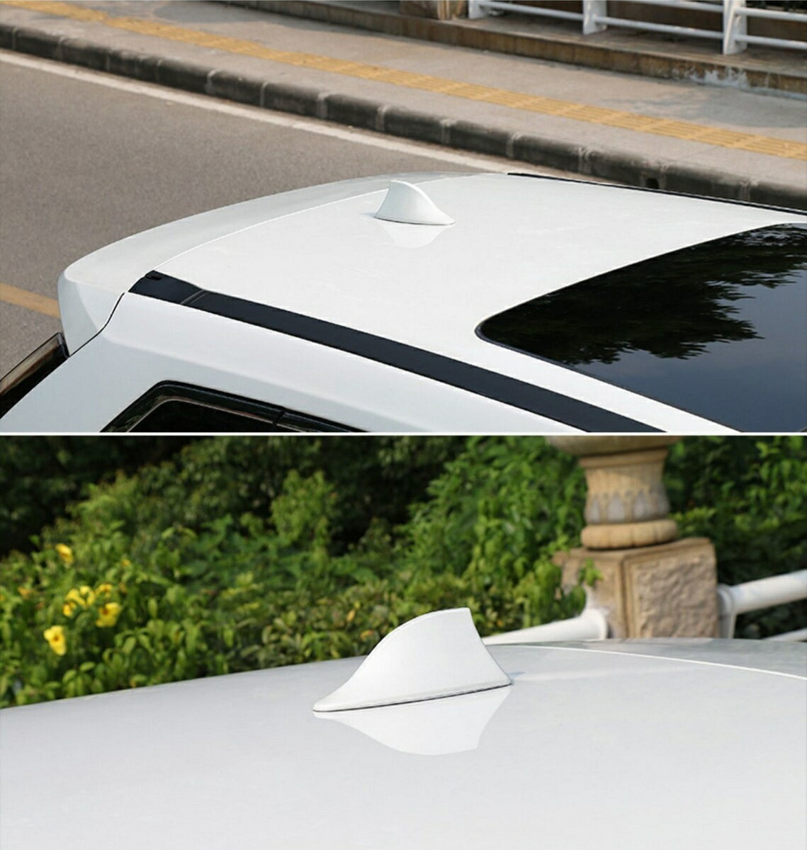 ���㡼������ƥ� �ɥ�ե��󥢥�ƥ� ���㡼���ե��󥢥�ƥ� �饸������ƥ� ���ѥ���ƥ� �֥���ƥ� ��ư�֥���ƥ� ���С� �֥���ƥʥ��С� ������ ���դ��������դ� ���졼�᥿��å� ��å� �ۥ磻�ȥѡ��� �֥�å� ����С� ξ�̥ơ��� ��ư��