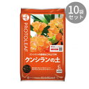 ご注文後3〜6日前後の出荷となります※納期に関しては、通常土日祝日を除いた営業日での出荷予定ですが、欠品やメーカー終了の可能性もあり、その場合は別途メールにてご連絡いたします【※在庫切れの場合、ご注文をキャンセルとさせて頂く場合がございますので予めご了承ください。】【※お届け先が沖縄・北海道・離島の場合、別途料金が発生する場合がございます。】【※配達日時指定できませんのでご了承願います】クンシランの植え付け、植え替え、株分けに適した物理性と化学性を実現した培養土です。初期生育に必要な肥料分をあらかじめ配合してありますので、そのままご使用いただけます。■植え替え方・こぶしで鉢をたたいて株を抜き出し、根を痛めないように土をほぐして取り除きます。・一回り大きな鉢に容量の1割程度の量の鉢底石を敷きます。根は切らずに巻くようにして鉢に植え込みます。・「プロトリーフ　クンシランの土」が根の間に入るよう、竹ぐしなどで突き込みながら鉢の隅々まで行き渡るようにします。・植込み後、鉢の縁と培養土の間を少し開けておくようにすると、水やり時に溢れません。・植え替えが完了したら、鉢底からたっぷりと水やりをし、2週間は日陰に置いて下さい。サイズ個装サイズ：48.6×34.6×23.9cm重量個装重量：16000g素材・材質赤玉土/鹿沼土/ピートモス/バークたい肥/木炭/パーライト等生産国日本・広告文責（株式会社ニューフロンテア 03-5727-2355）fk094igrjs