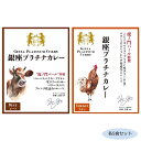 ◎【代引不可】虎ノ門バール特製銀座プラチナカレービーフ＆プラチナカレーチキン 各5食セット「他の商品と同梱不可/北海道、沖縄、離島別途送料」