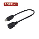 ϊl 10Zbg USBminiP[u20(t) USBM5/CA20FX10